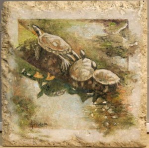 Sunning Turtles on Travertine